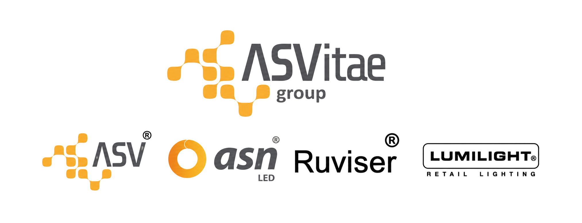 nuevo logo asvitae 2026