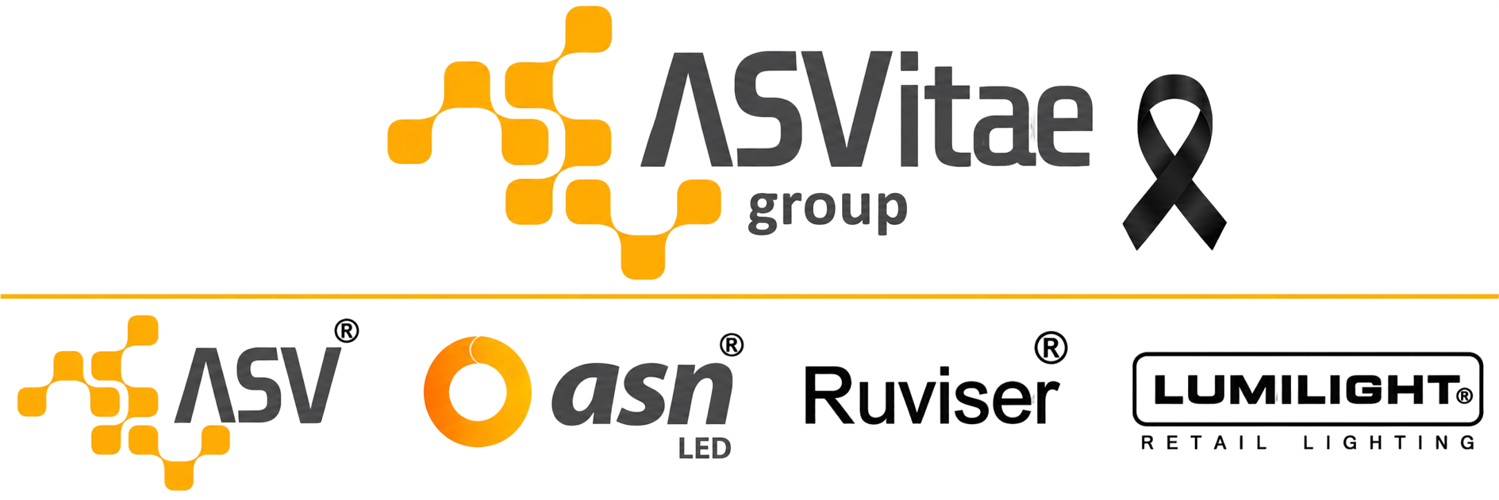 Logo asvitae luto